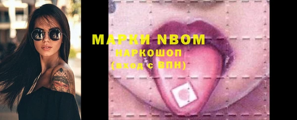 сатива Покров