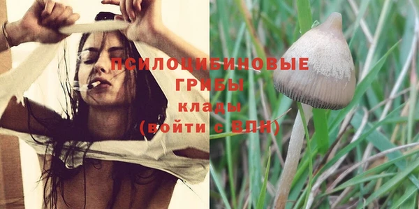 PSILOCYBIN Покачи