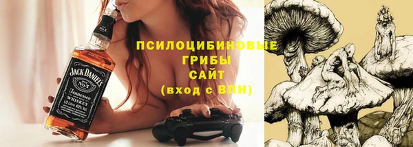 PSILOCYBIN Кинешма