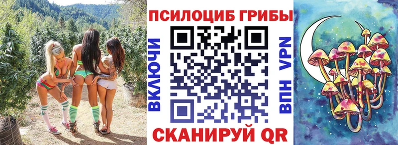 Псилоцибиновые грибы мухоморы  Краснозаводск 