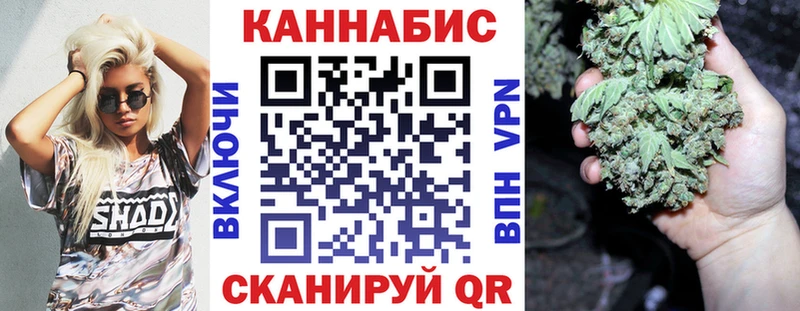 закладка  Краснозаводск  Бошки Шишки план 